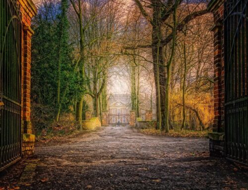 Advocaat in de provincie